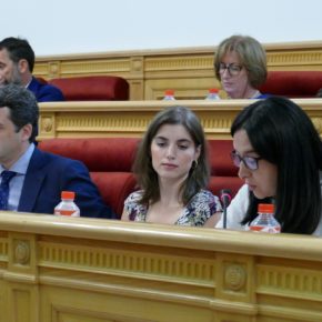 El Pleno del Ayuntamiento de Toledo aprueba la moción de Cs para mejorar los patios de los colegios públicos