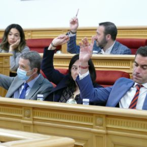 El Pleno respalda la moción de Cs y el Ayuntamiento de Toledo habilitará BIZUM para realizar gestiones municipales